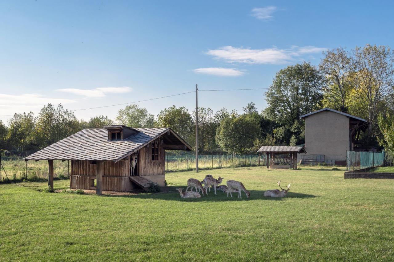 La Casetta Dei Daini - Affitti Brevi Italia Apartment Orio al Serio Luaran gambar